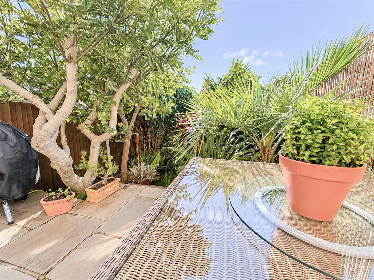 Celandine Drive, St. Leonards-On-Sea, TN38, photo 13