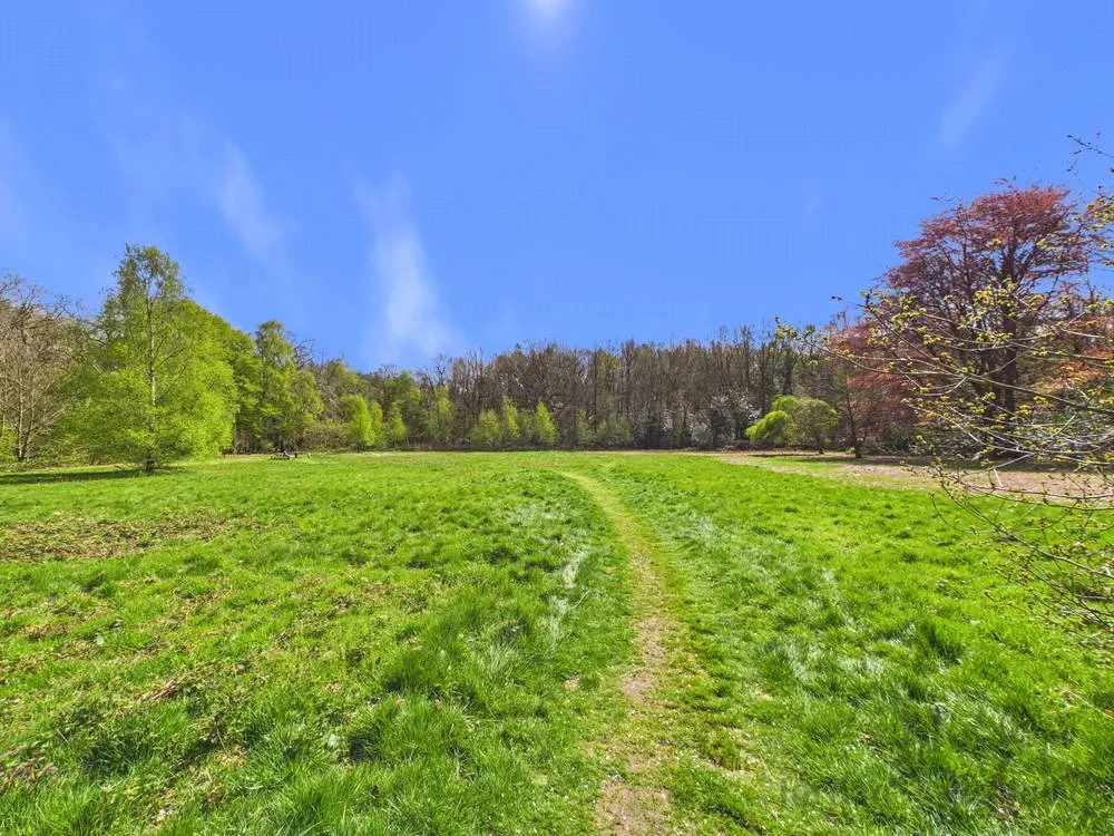 Kingswood Park, Kingswood, Frodsham, Cheshire, WA6 6EH, photo 23