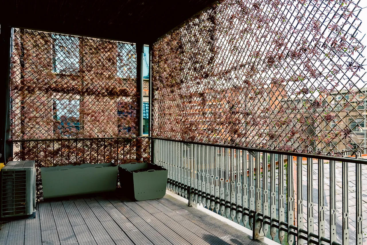 Chappell Lofts, Belmont Street, Chalk Farm, London, photo 4