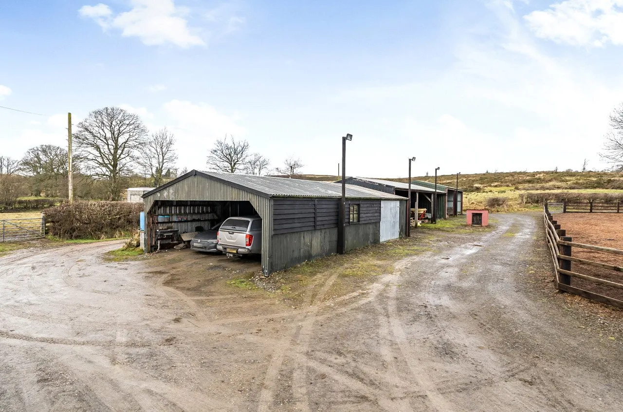Llanbister, Llandrindod Wells, Powys, LD1 6TW, photo 23