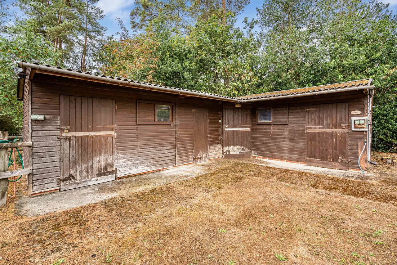 Sandy Lane, Rushmoor, GU10, photo 19