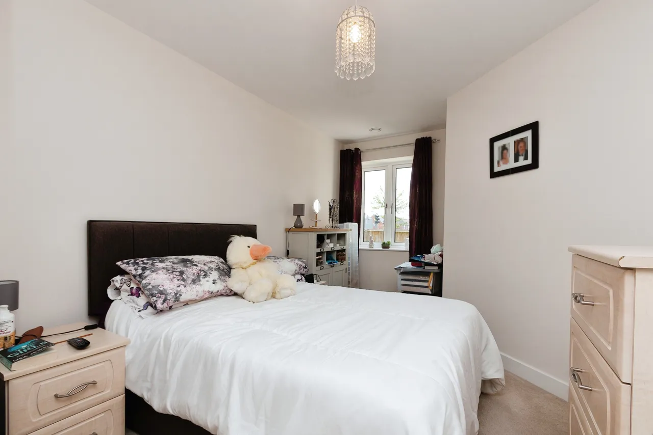 Shortwood Copse Lane, Basingstoke, RG23, photo 6