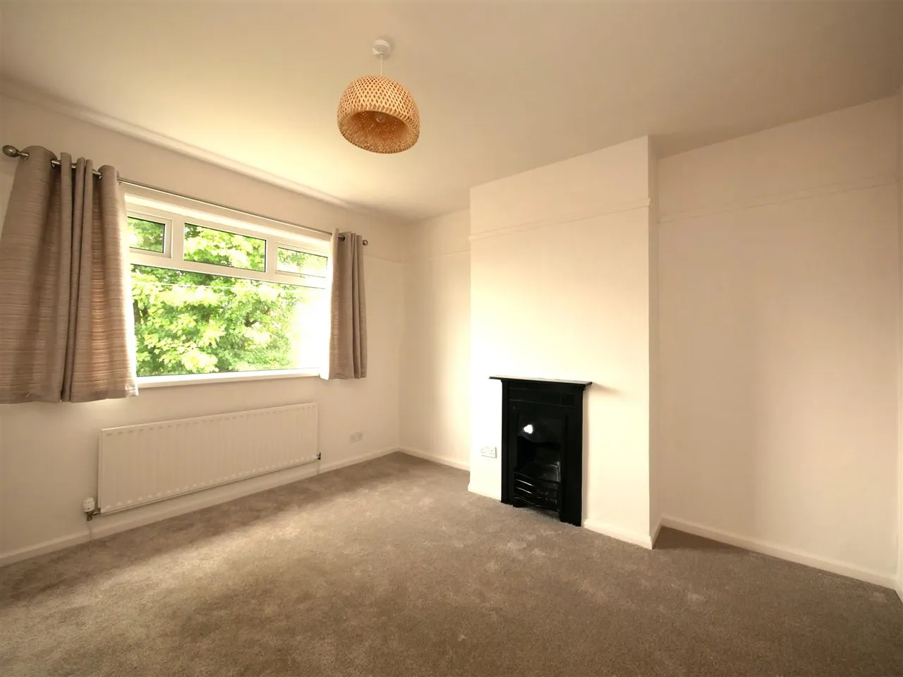Wynchurch Terrace, Rosetta, BT6, photo 9