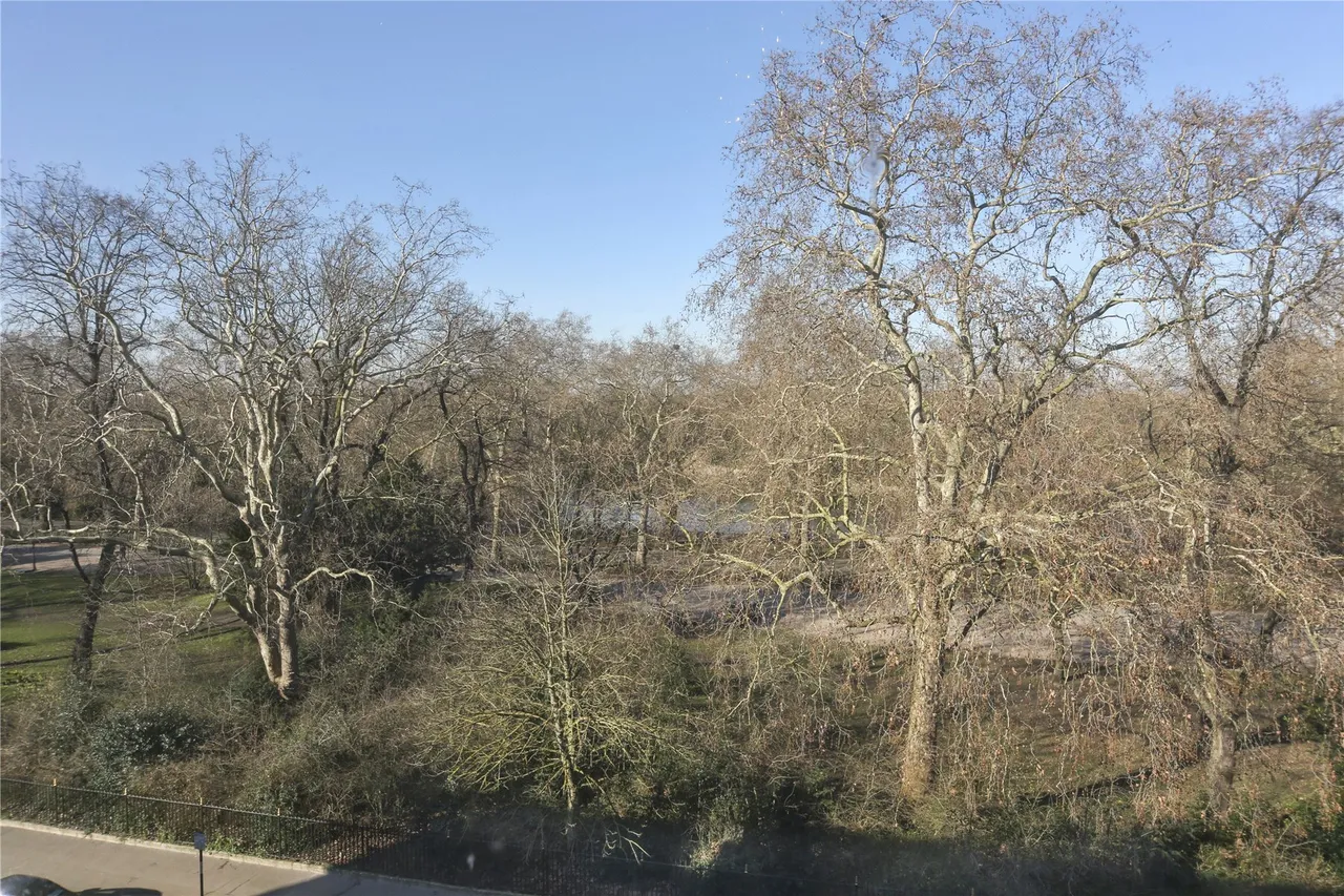 Prince of Wales Drive, Battersea, London, SW11, photo 9