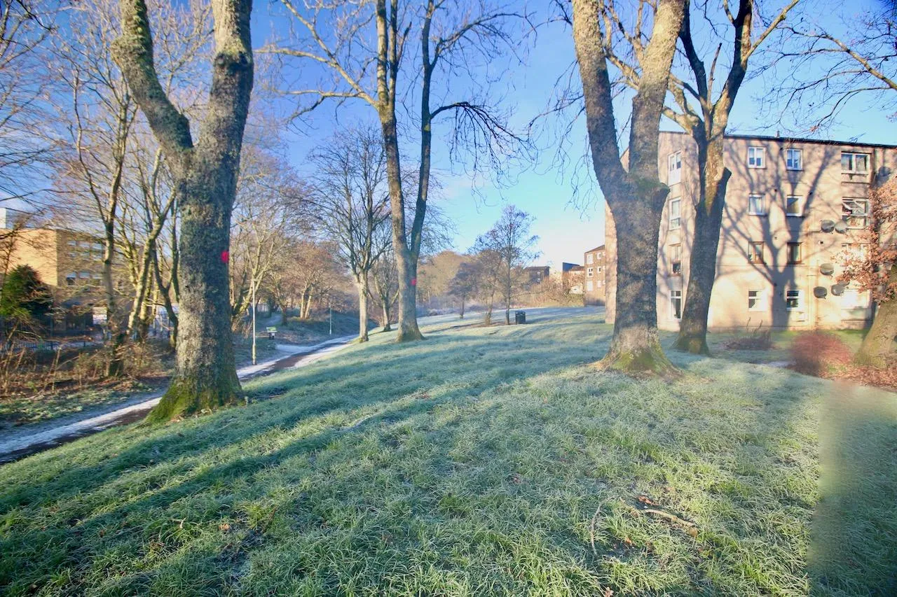 Cedar Road, Cumbernauld, G67 3AT, photo 10
