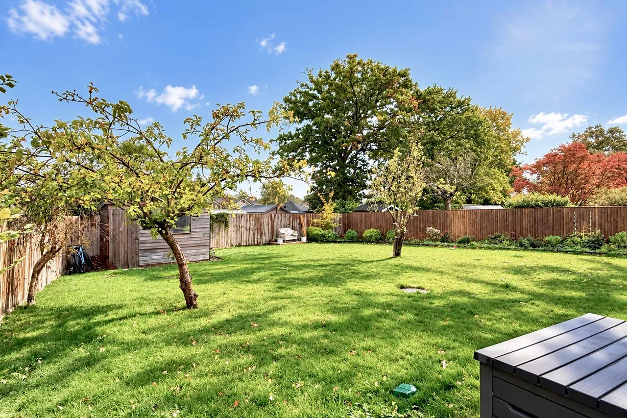 Lions Wood, Ringwood, BH24, photo 32