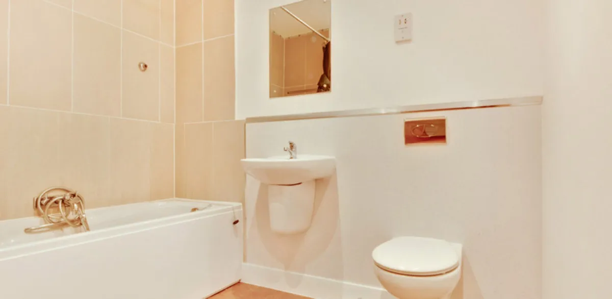 Caelum Drive, Colchester, CO2, photo 6