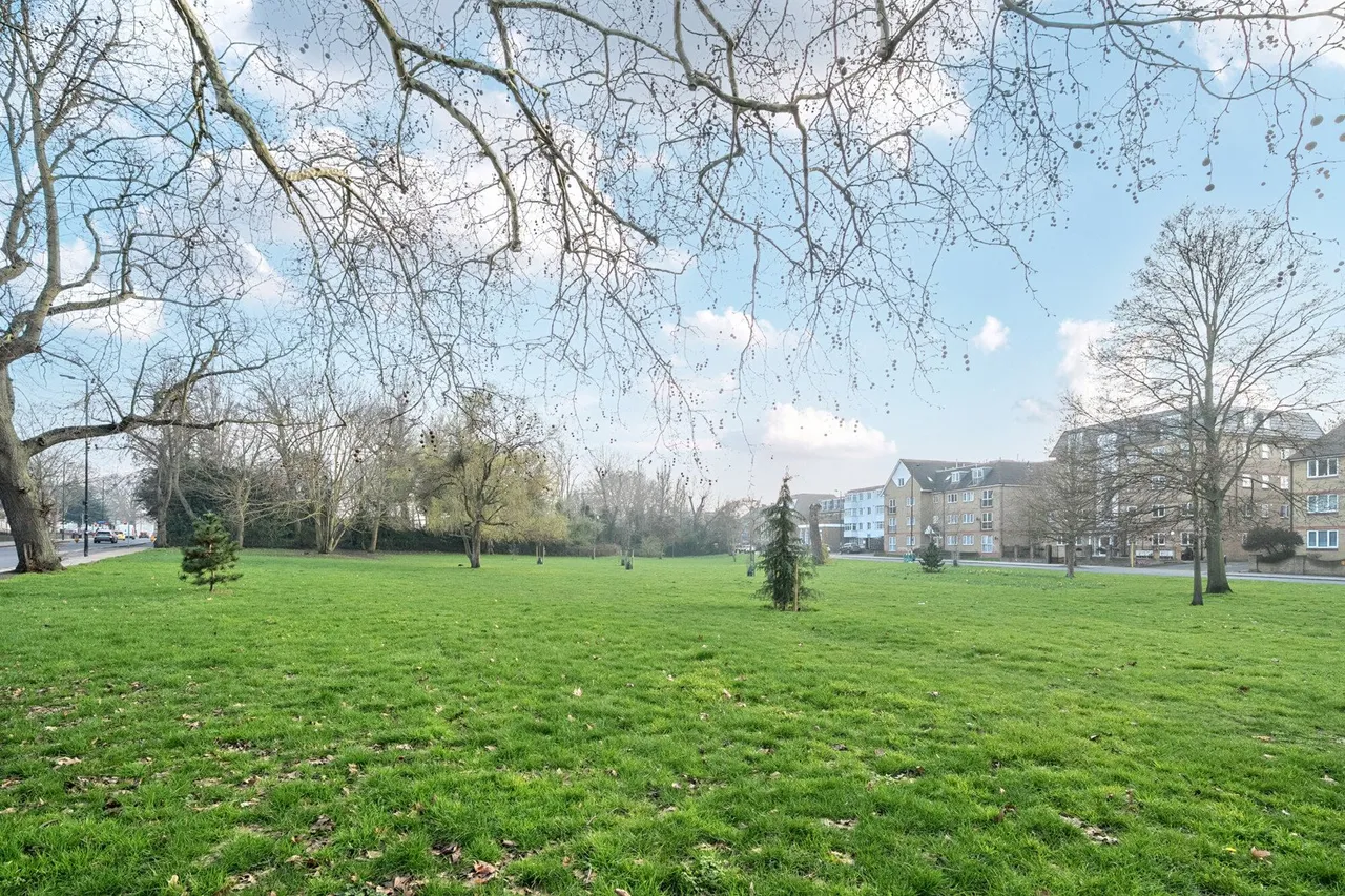 Peckham Rye, SE15, photo 7