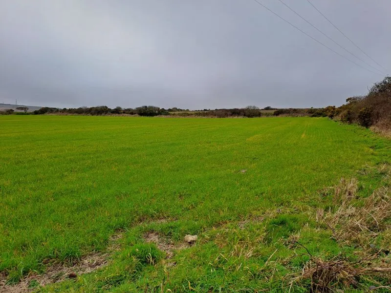 Land adjacent to Penhalurick Barton Farm Penhalvean, Redruth, photo 2