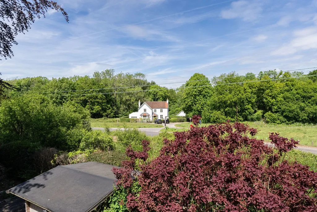 Ranmore Common, Dorking, RH5, photo 17