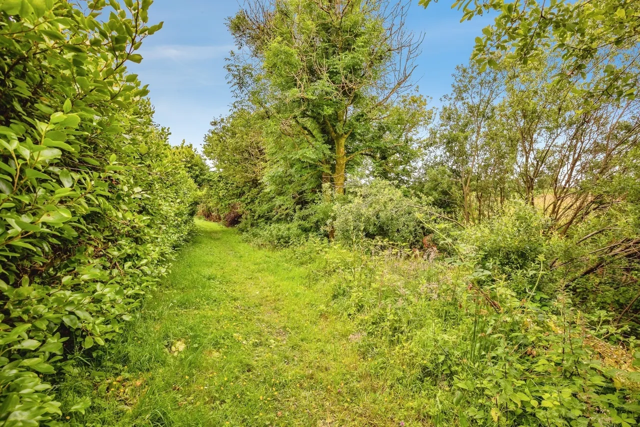 Crymych, SA41, photo 30