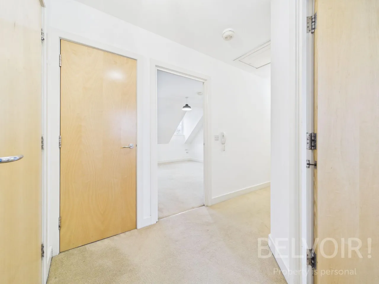 Chester Street, Coton Hill, Shrewsbury, SY1, photo 11