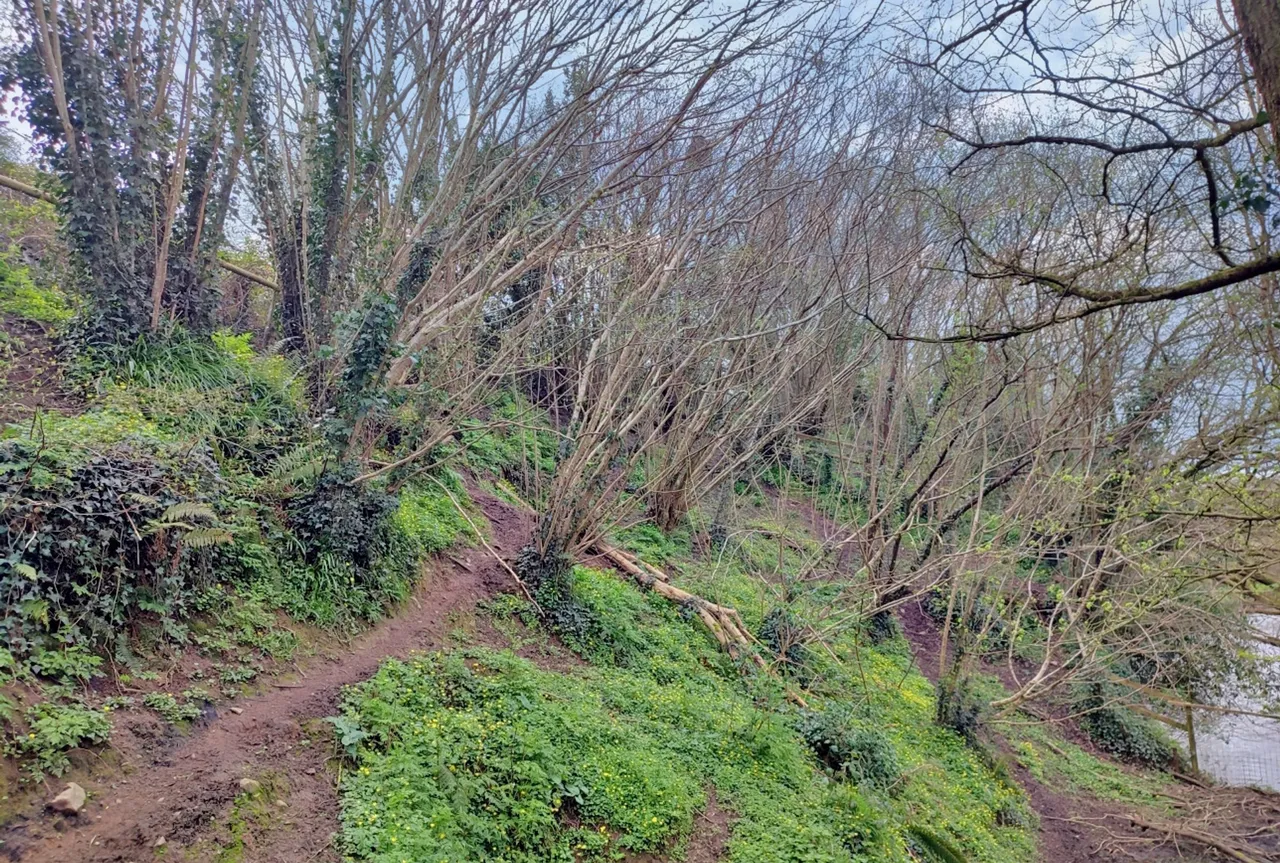 Elm Grove Road, Kidwelly, SA17, photo 5