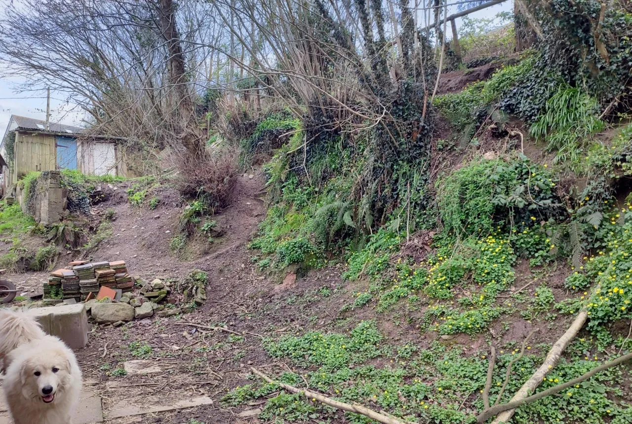 Elm Grove Road, Kidwelly, SA17, photo 10