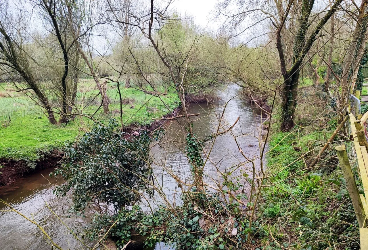 Elm Grove Road, Kidwelly, SA17, photo 9