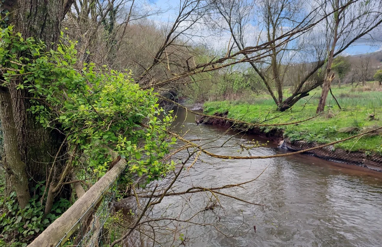 Elm Grove Road, Kidwelly, SA17, photo 7
