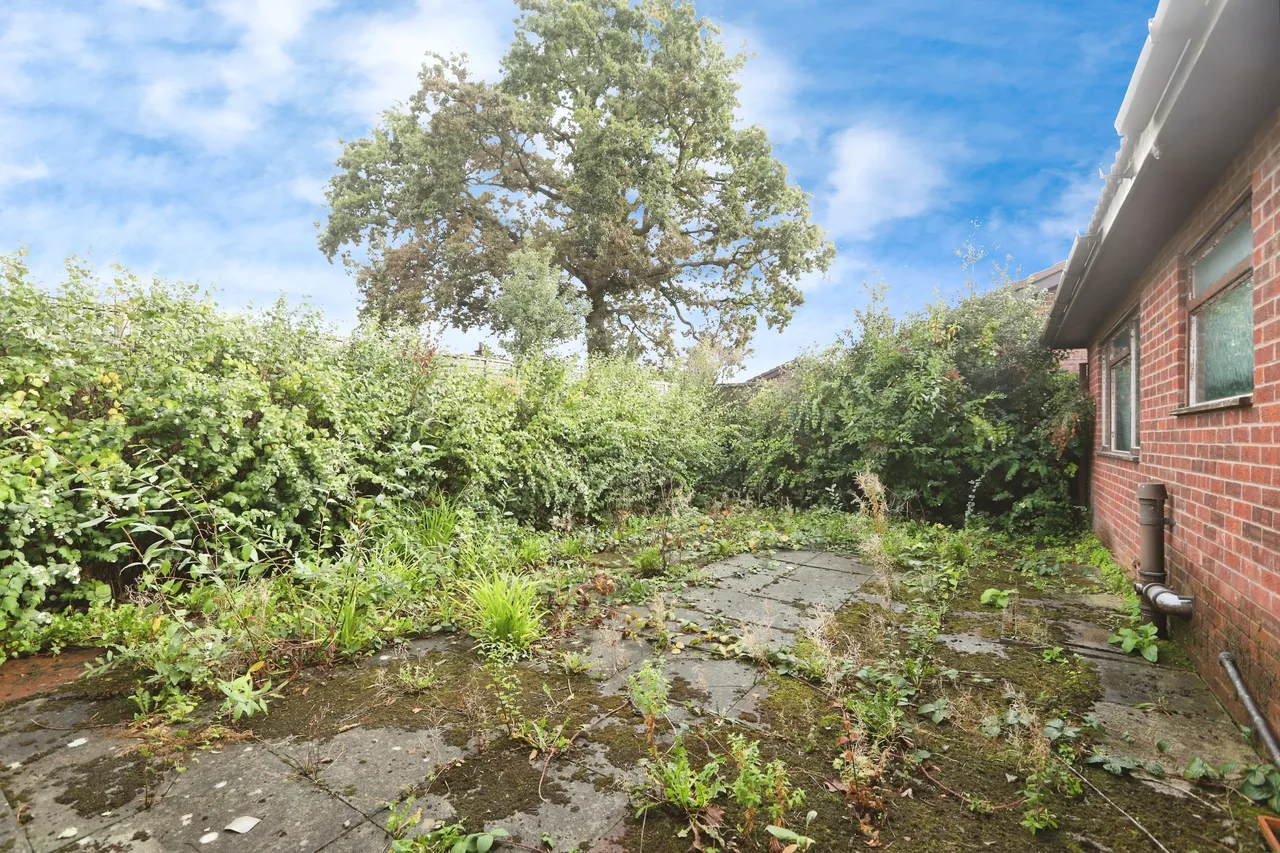 Abbey Gardens, Wrexham, photo 12