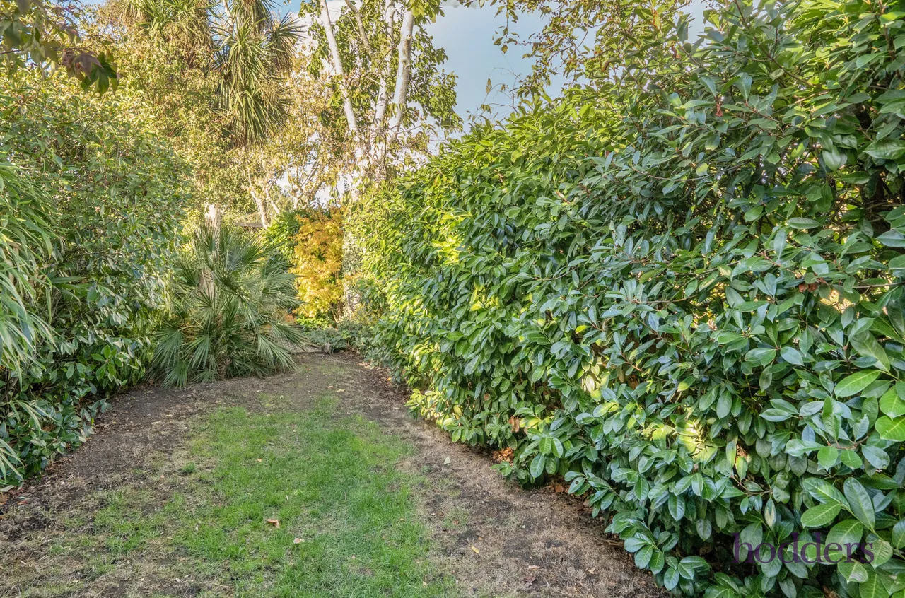 Prairie Road, Addlestone, KT15, photo 15
