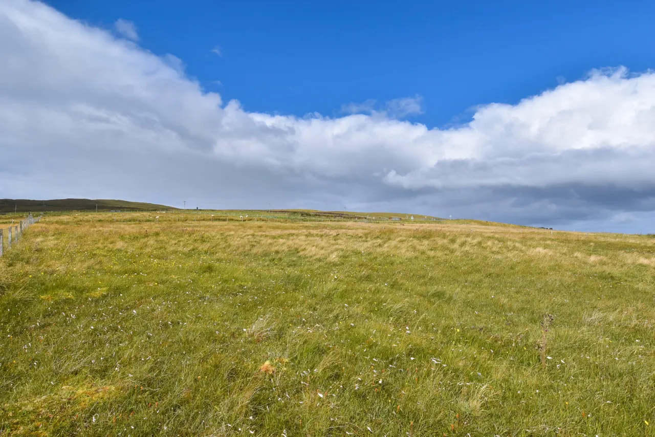 Site 2, Bordal, Swinister, Sandwick, ZE2 9HH, photo 11