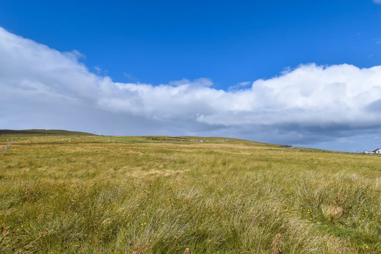Site 2, Bordal, Swinister, Sandwick, ZE2 9HH, photo 12
