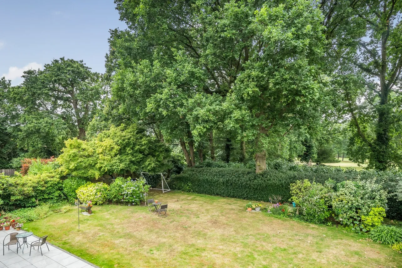 Birch Grove, Pyrford, GU22, photo 4