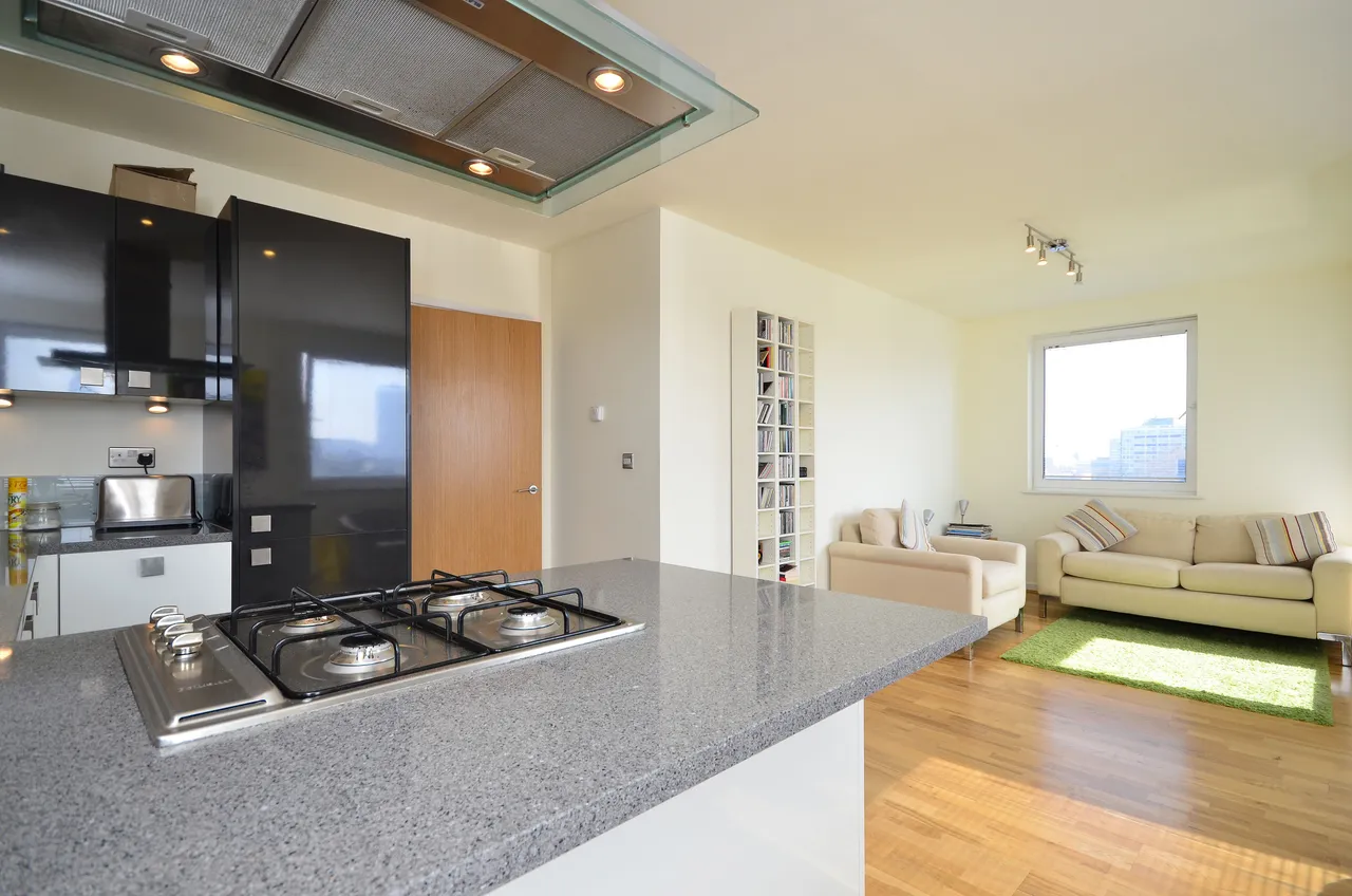 10 The Graphite Apartments, 51 Provost Street, London, photo 4