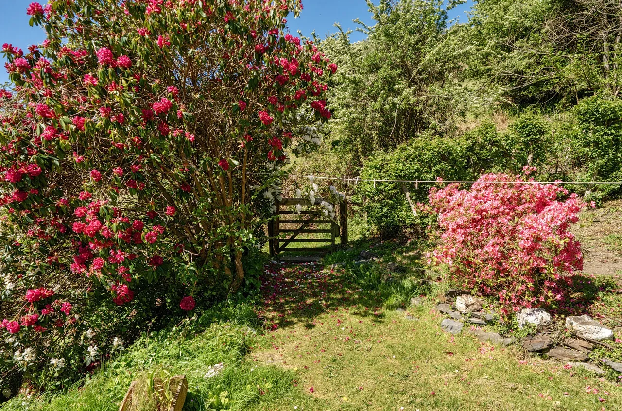 Ty Newydd, Aberdovey, photo 10