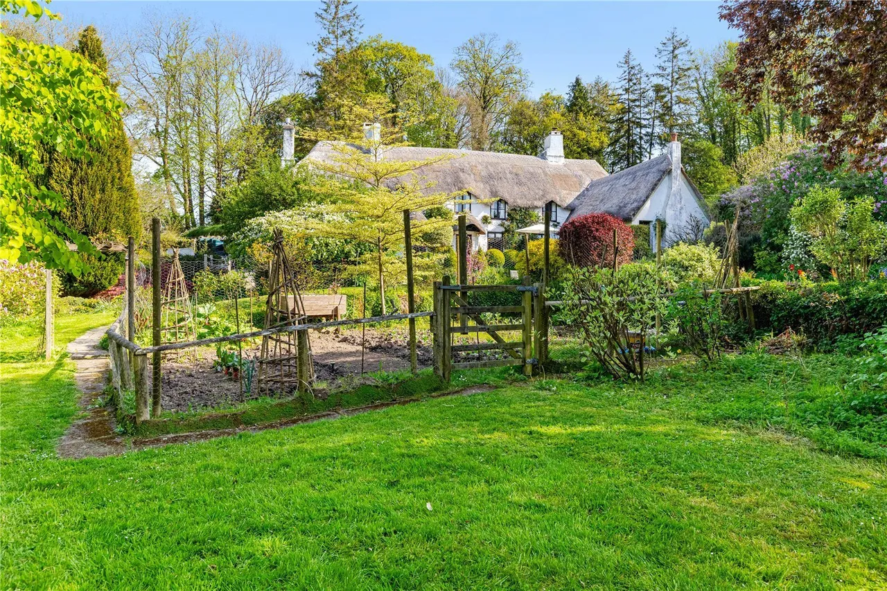 Chudleigh, Newton Abbot, TQ13, photo 20