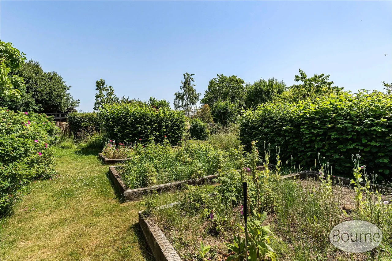 Bailes Lane, Normandy, GU3, photo 48