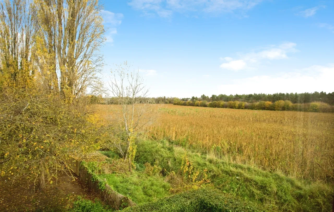 Jopling Way, Hauxton, CB22, photo 4