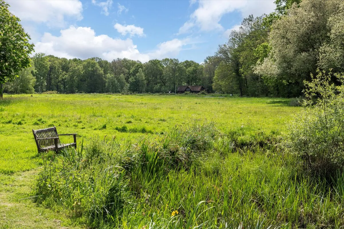 The Common, Dunsfold, GU8, photo 15