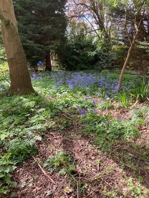 Witham Road, Woodhall Spa, LN10, photo 38