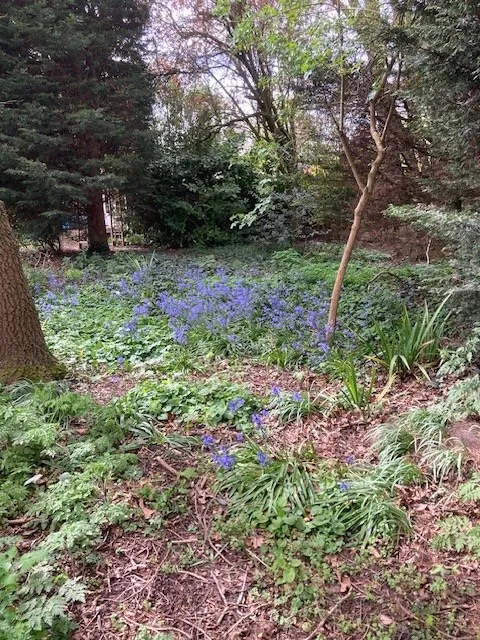 Witham Road, Woodhall Spa, LN10, photo 36