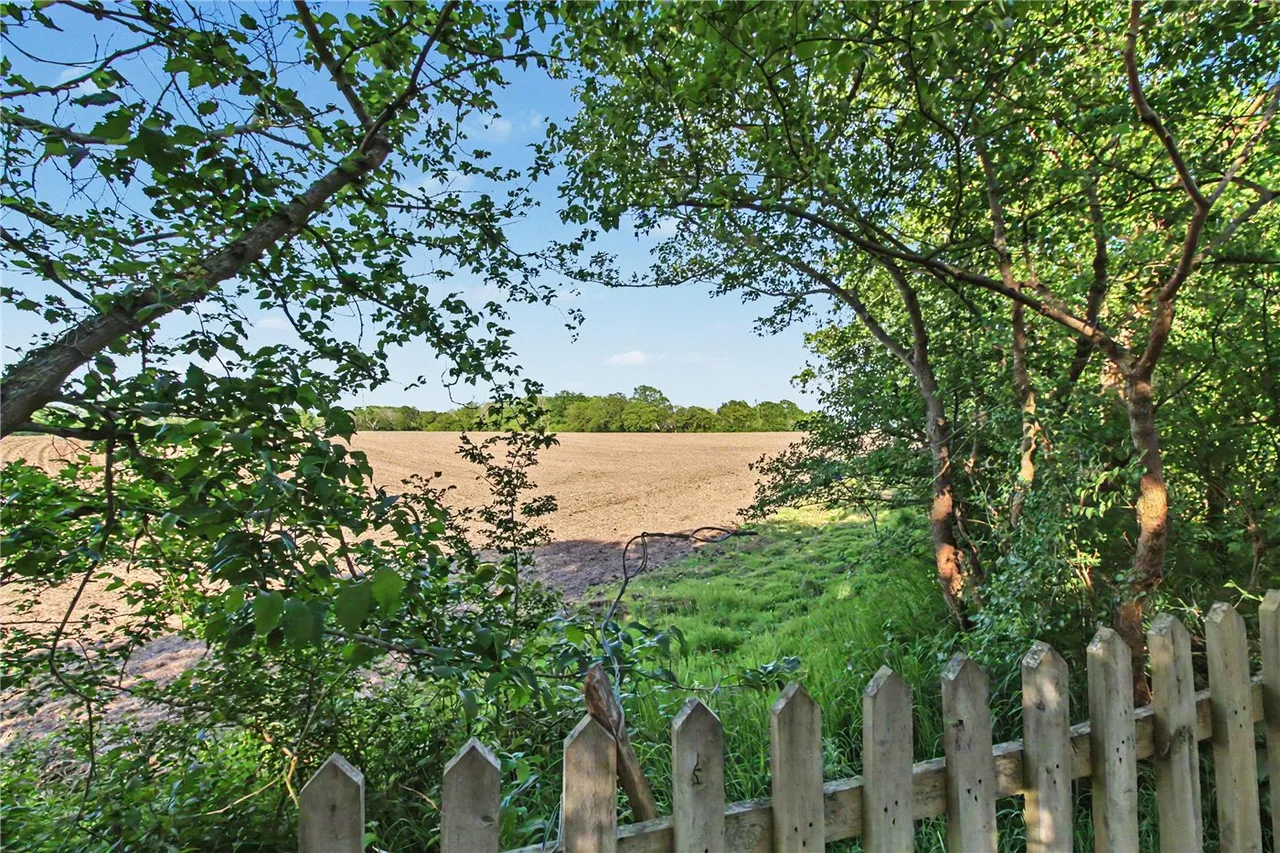 The Street, Holton, Halesworth, Suffolk, IP19, photo 8