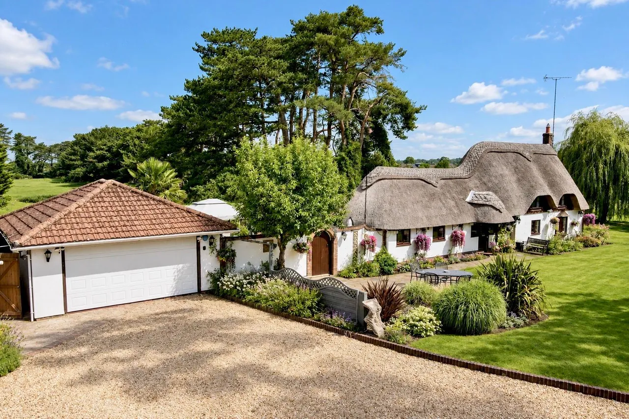 Three Willows, Kingston Common, BH24, photo 17