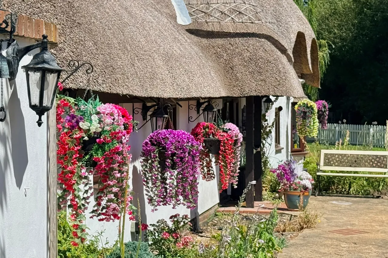 Three Willows, Kingston Common, BH24, photo 21