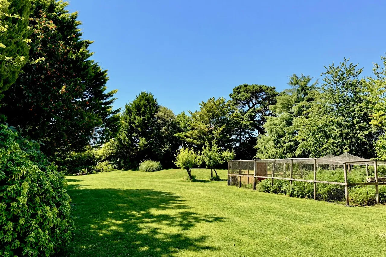 Three Willows, Kingston Common, BH24, photo 4