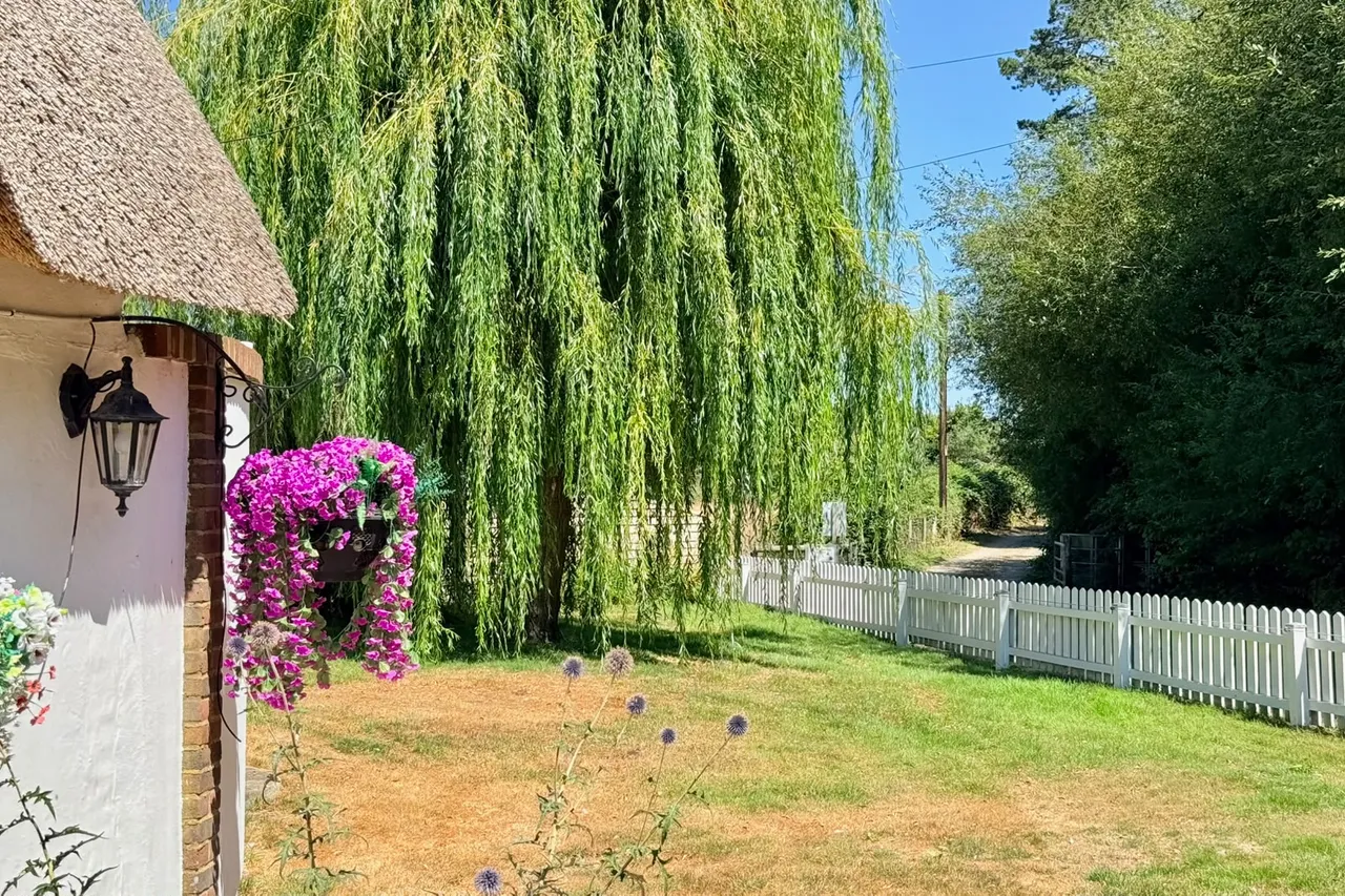 Three Willows, Kingston Common, BH24, photo 22