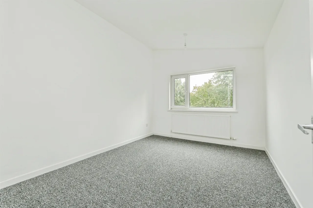 Chapel Wood, Llanedeyrn, CF23, photo 8