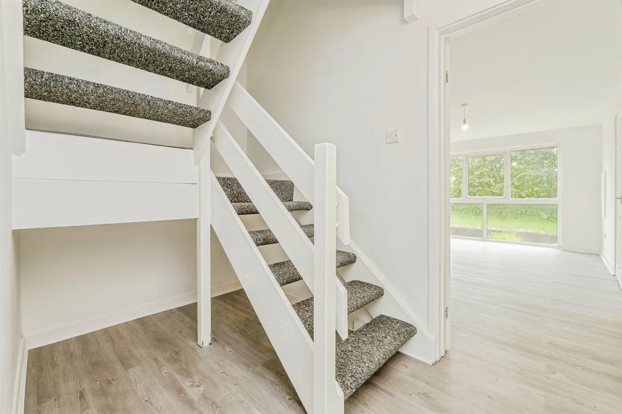 Chapel Wood, Llanedeyrn, CF23, photo 6