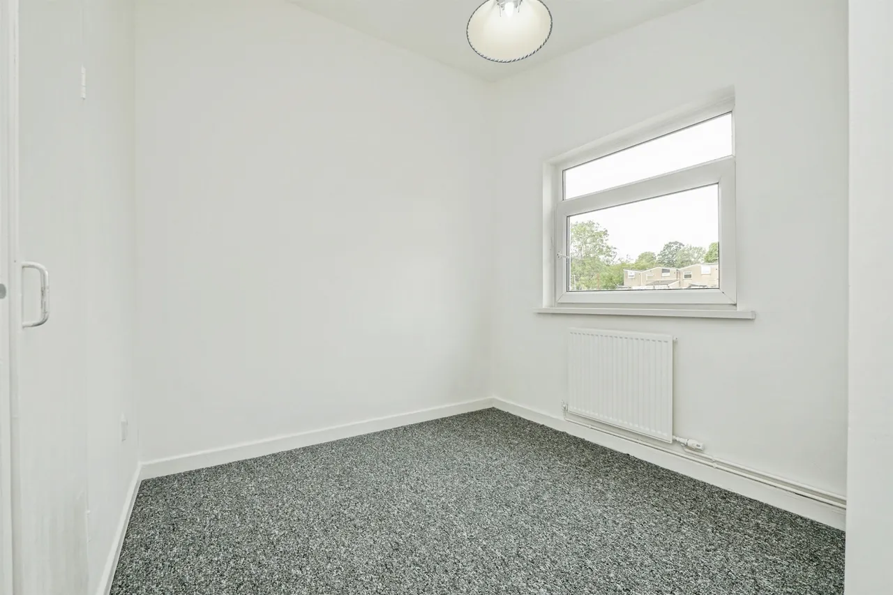 Chapel Wood, Llanedeyrn, CF23, photo 10
