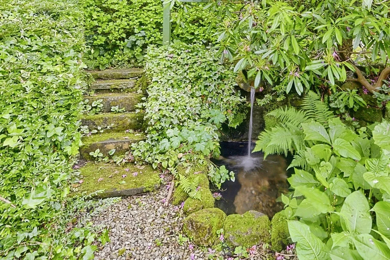 Netherwood Road, Burnley, Lancashire, BB10, photo 39