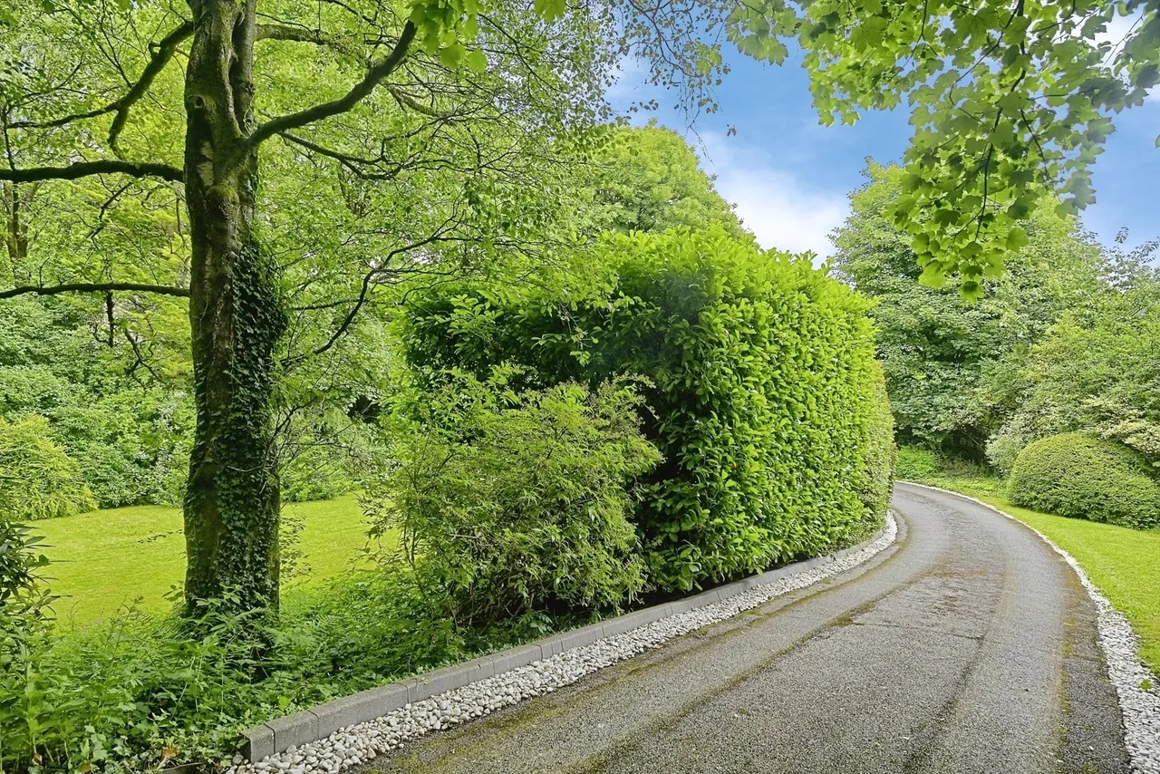 Netherwood Road, Burnley, Lancashire, BB10, photo 14