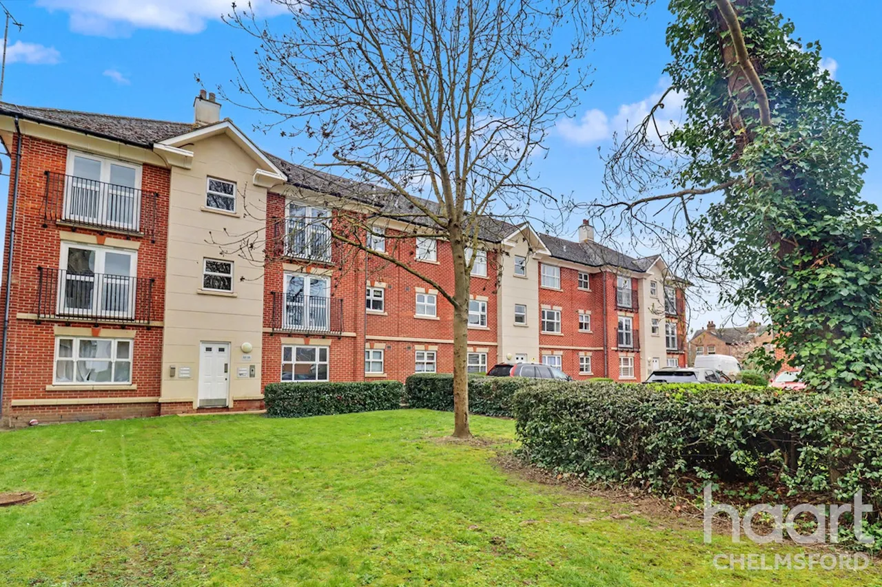 Stapleford Close, Chelmsford, CM2, photo 12