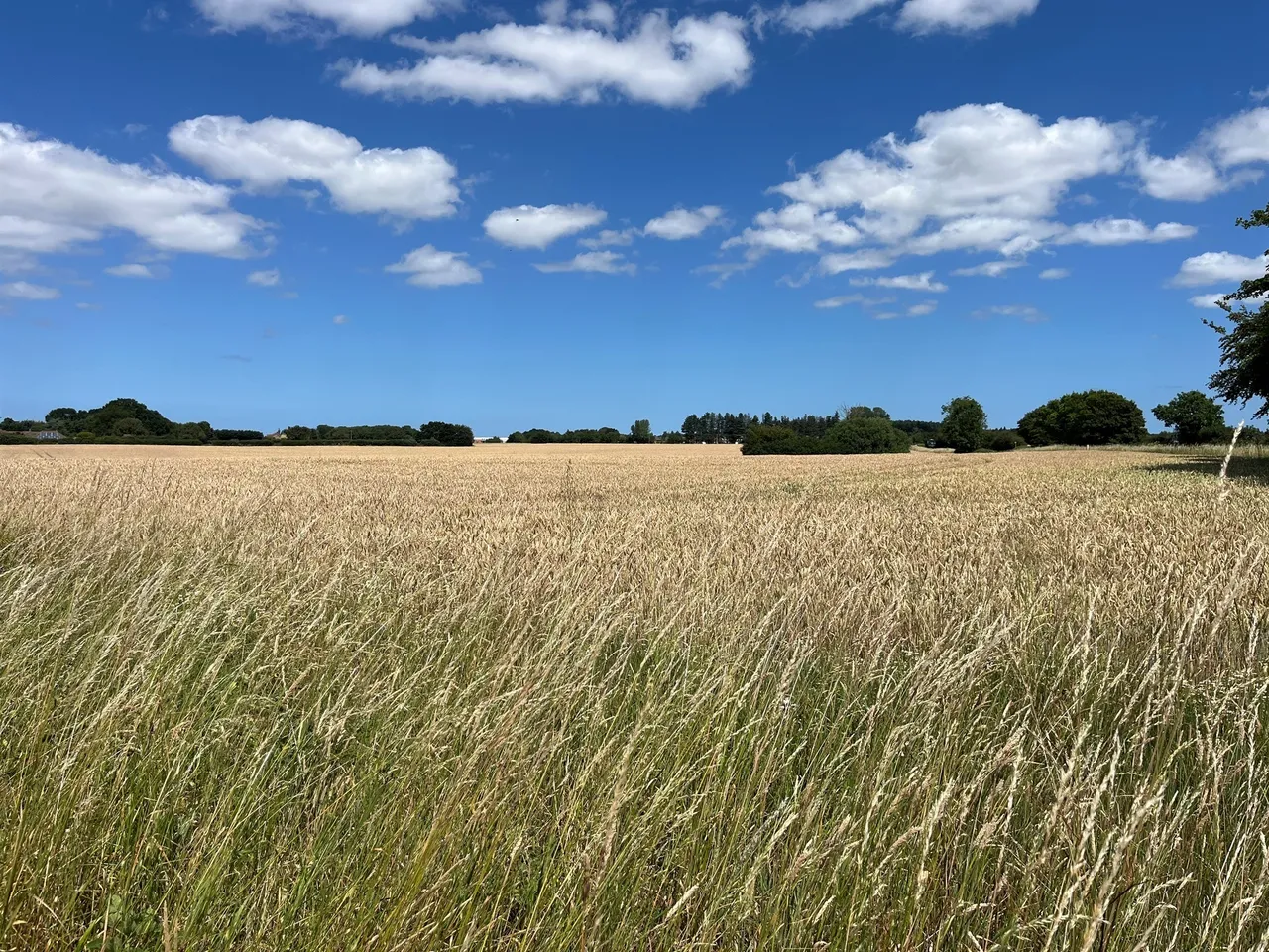 Kettlestone Road, Little Snoring, NR21, photo 17