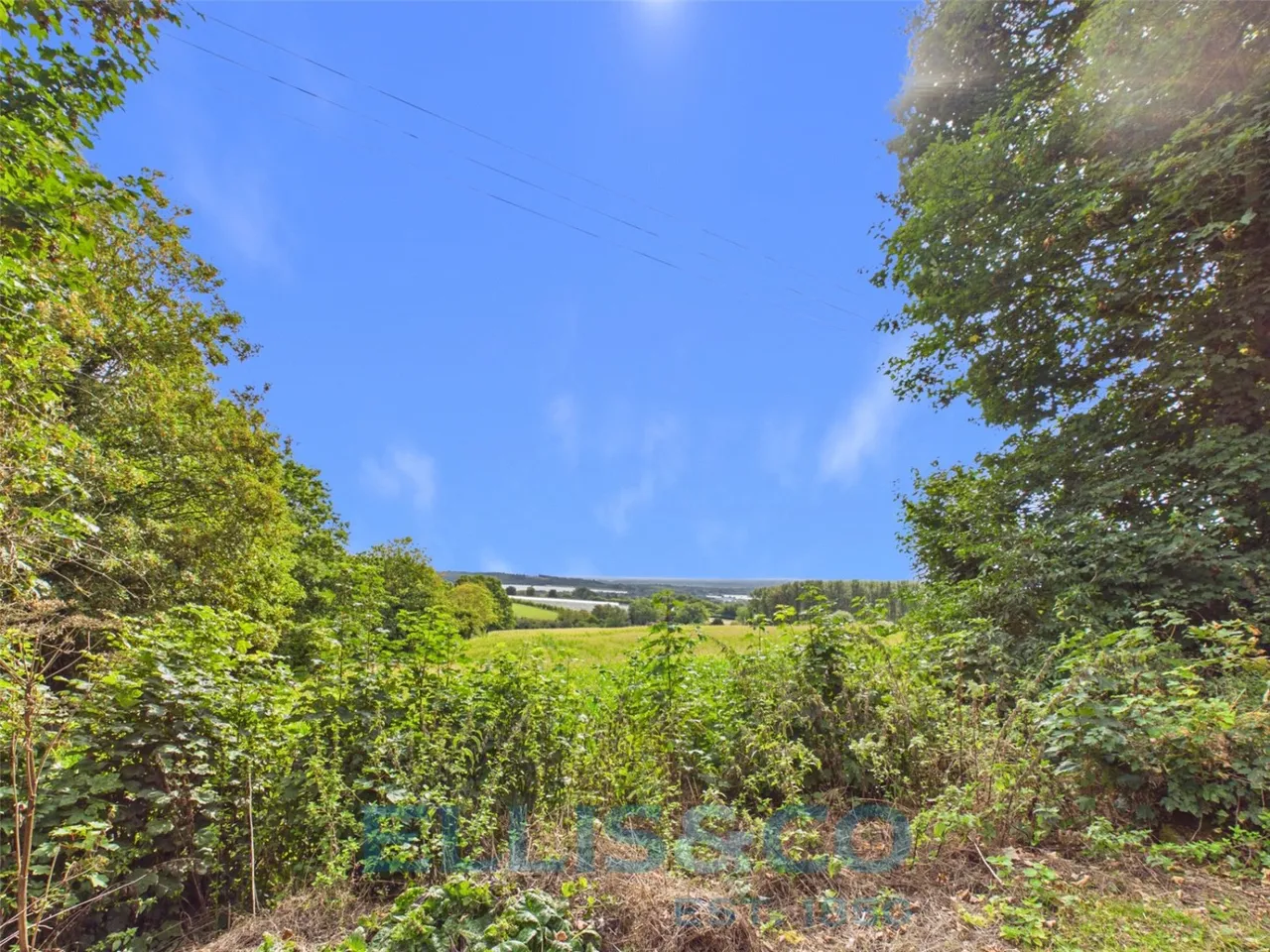 Gover Hill, Roughway, TN11, photo 8