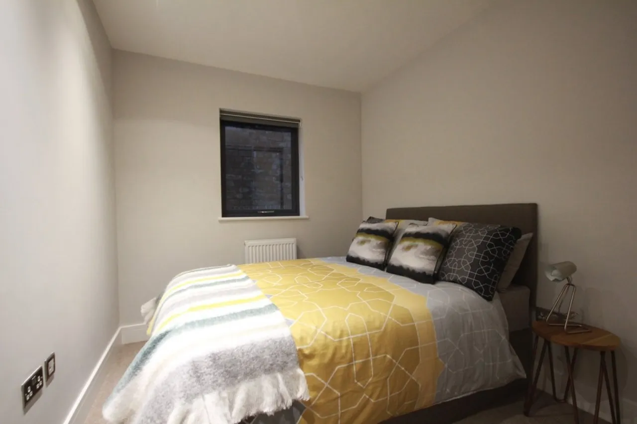 Caroline Street, off St Pauls Square, B3, photo 5