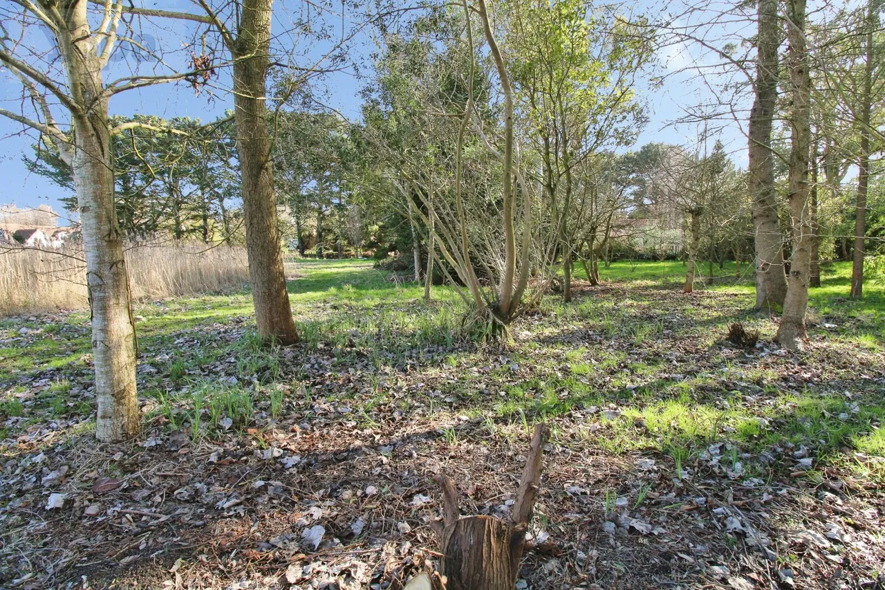 Tunstall Road, Iken, IP12, photo 11