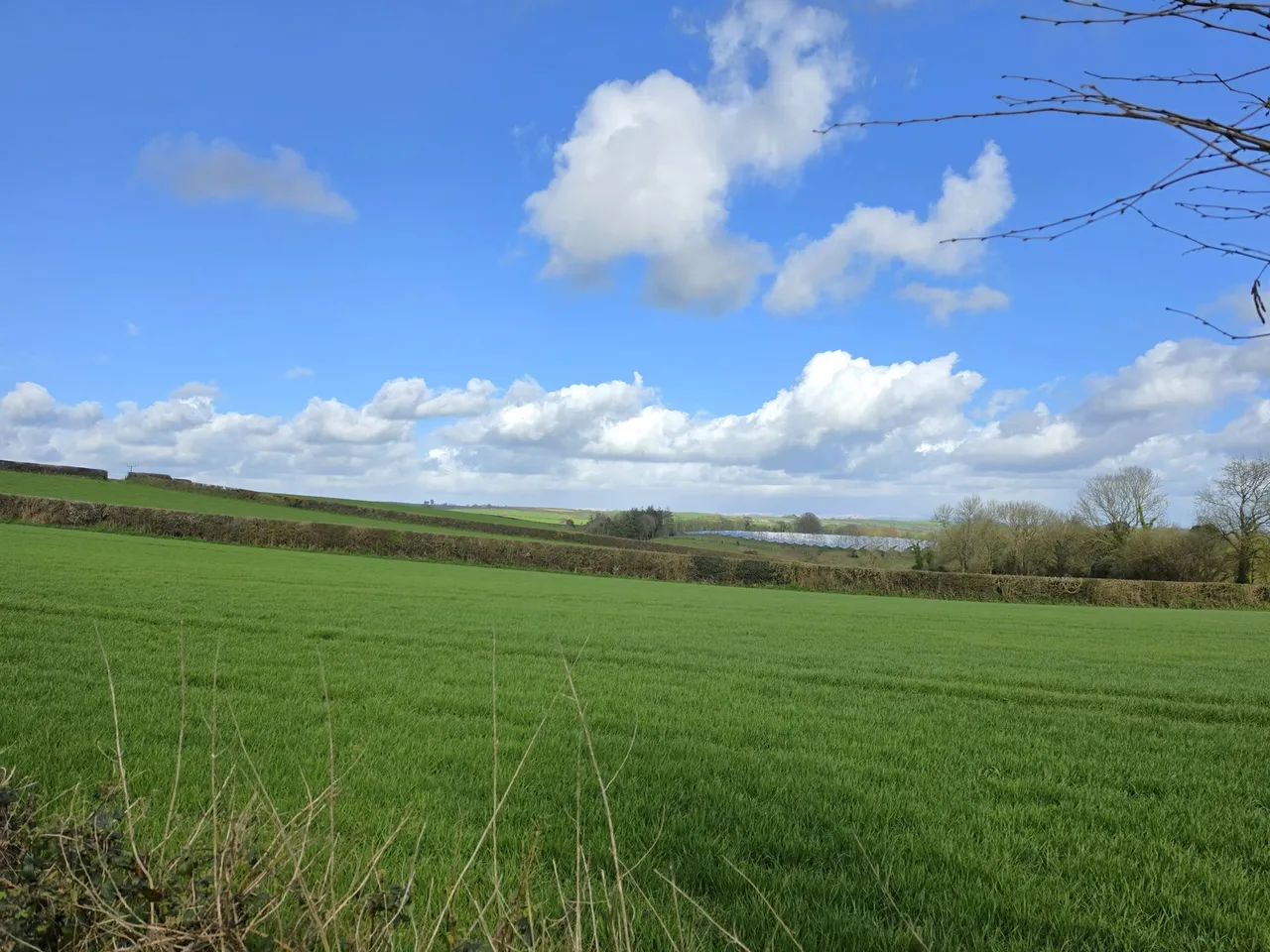 Doddycross, Liskeard, PL14 3SP, photo 8