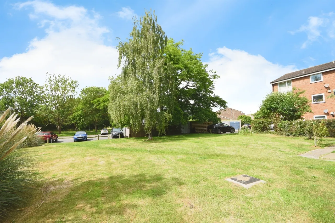 Cornflower Drive, Chelmsford, CM1, photo 3